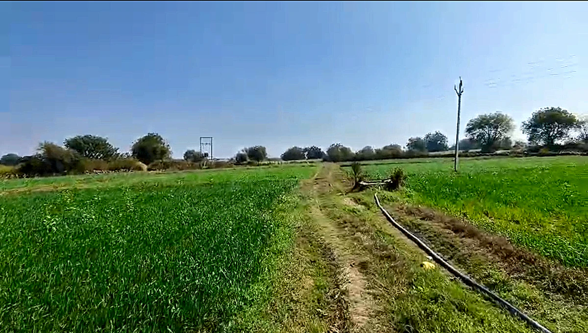 4883+V6R, Dabhaura, Madhya Pradesh 486556, India