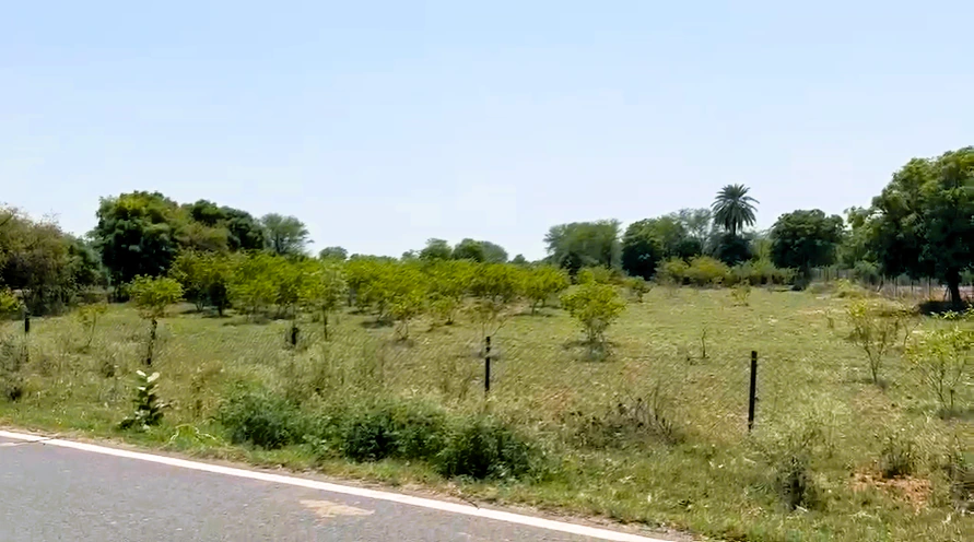 Mubarikpur, Rajasthan 301025, India