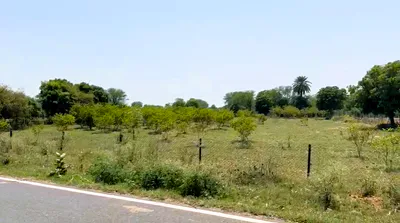 Mubarikpur, Rajasthan 301025, India preview 4