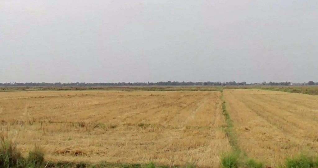 Poawan, Bihar 804452, India