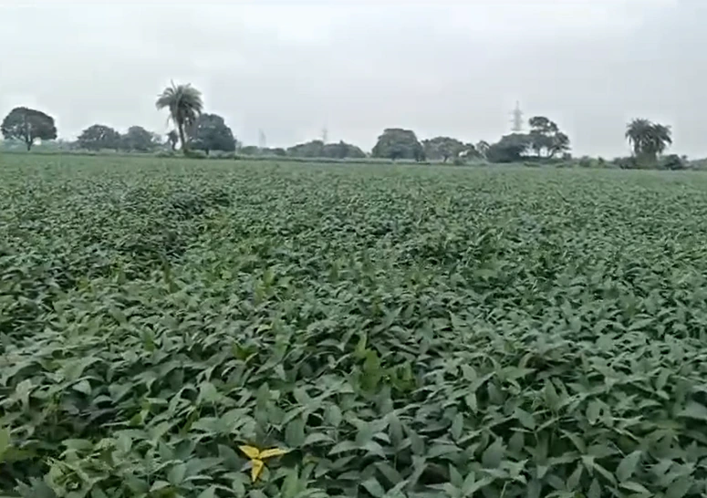 Nayapura, Ratlam, Madhya Pradesh 457226, India
