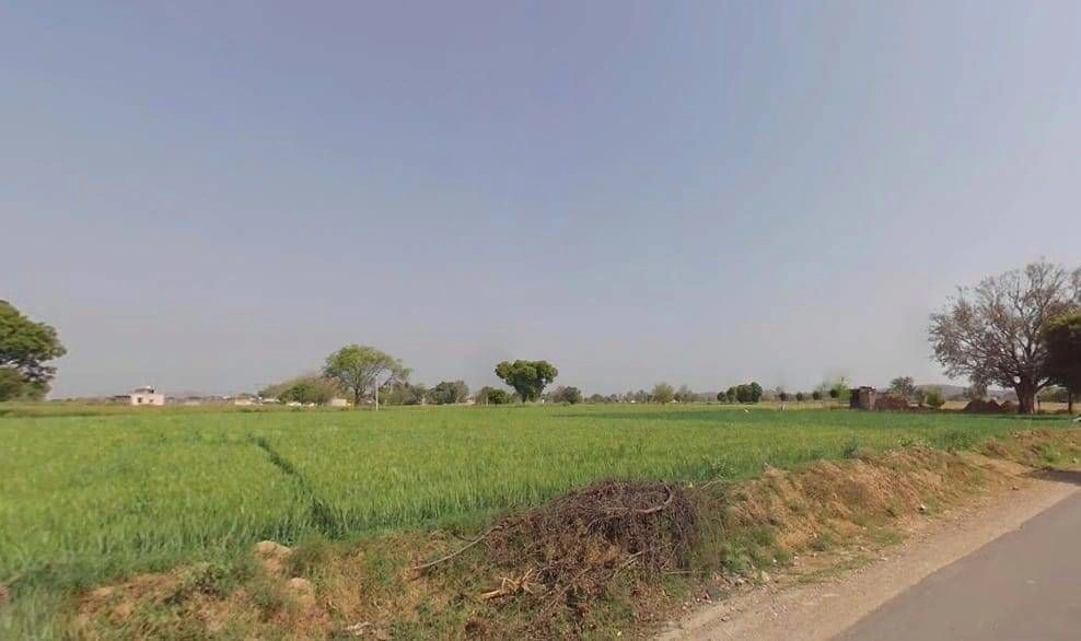 Bamboli, Rajasthan, India