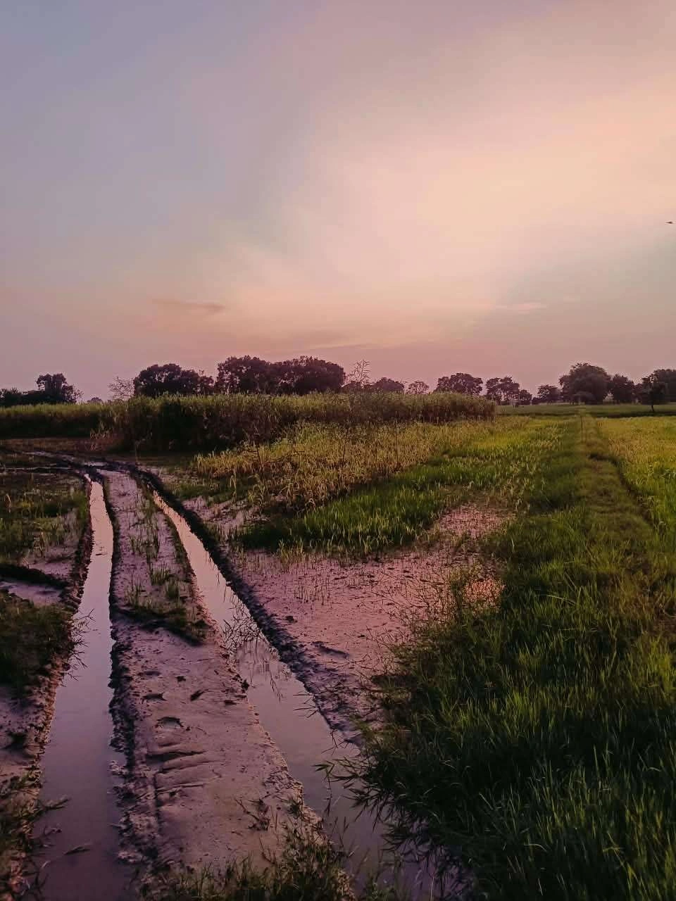 Baraka, Mathura, Uttar Pradesh, India preview 3