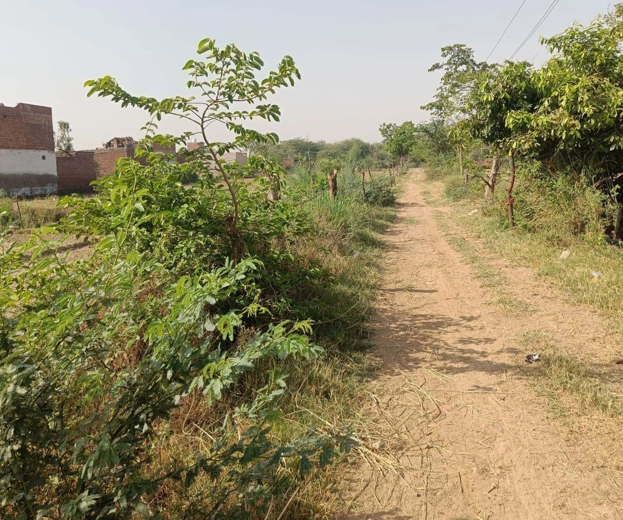 Ajhai Kalan, Uttar Pradesh 281406, India