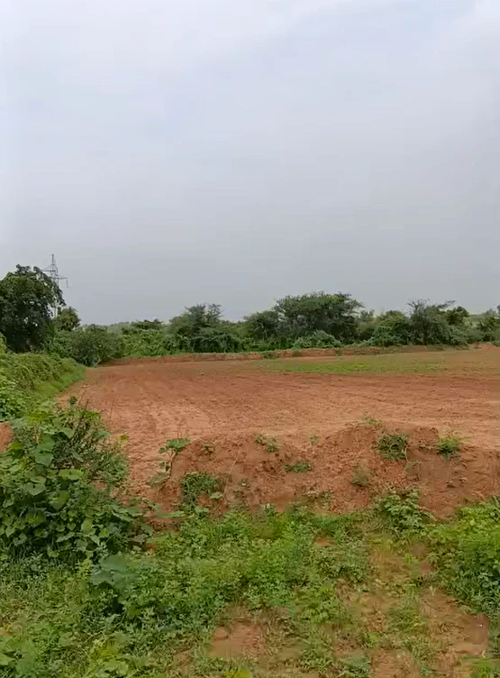 Jaipur, Jind, Haryana 126112, India