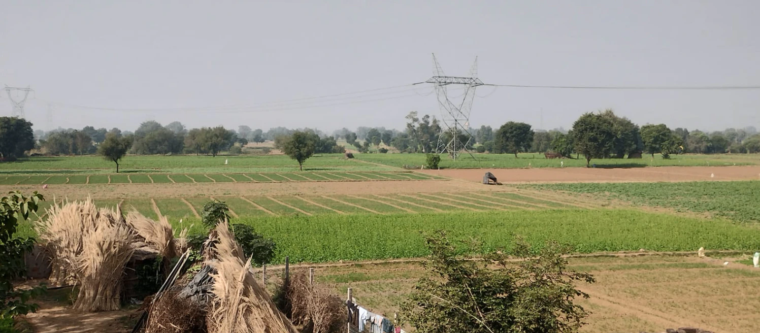 V2CX+QX5, Ghanie-ke-Bangar, Punjab 143513, India
