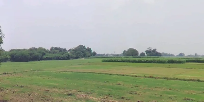 Chouslakulmi, Madhya Pradesh, India preview 2