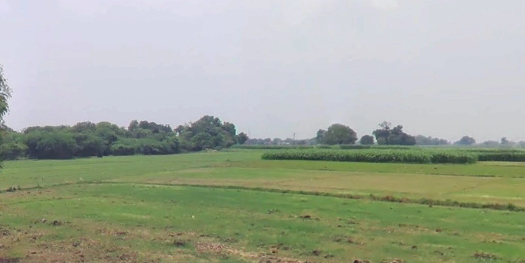 Chouslakulmi, Madhya Pradesh, India