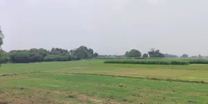Chouslakulmi, Madhya Pradesh, India preview 2