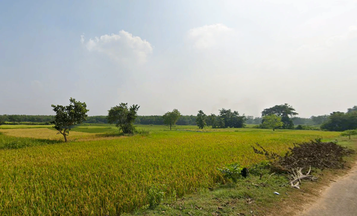 Duttapukur - Nilganj Rd, Kashim Pur, Duttapukur, Gangapur, Shibalaya, West Bengal 743248, India