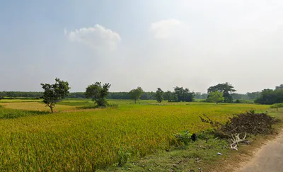 Duttapukur - Nilganj Rd, Kashim Pur, Duttapukur, Gangapur, Shibalaya, West Bengal 743248, India preview 2
