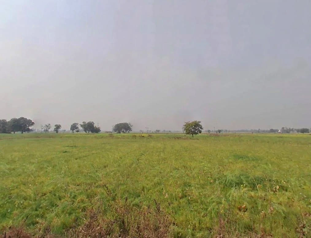 Rewa, Madhya Pradesh, India