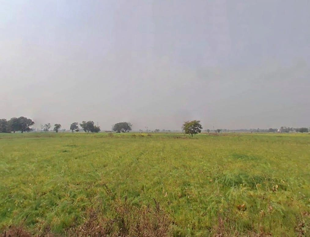 Rewa, Madhya Pradesh, India