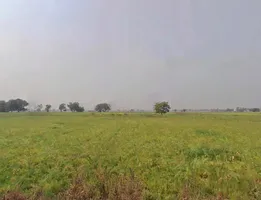 Rewa, Madhya Pradesh, India preview 2