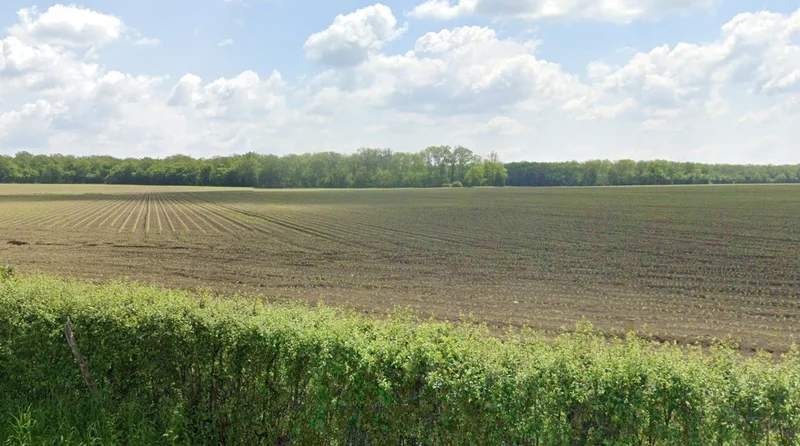 Bari, Madhya Pradesh 464668, India preview 2