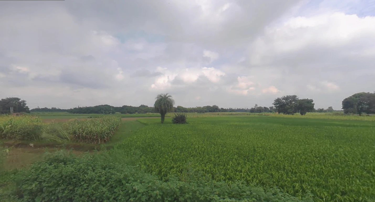 Puranpur, Uttar Pradesh 262122, India