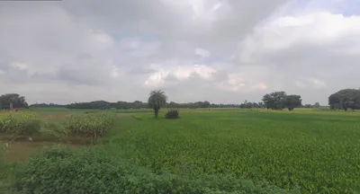 Puranpur, Uttar Pradesh 262122, India preview 2