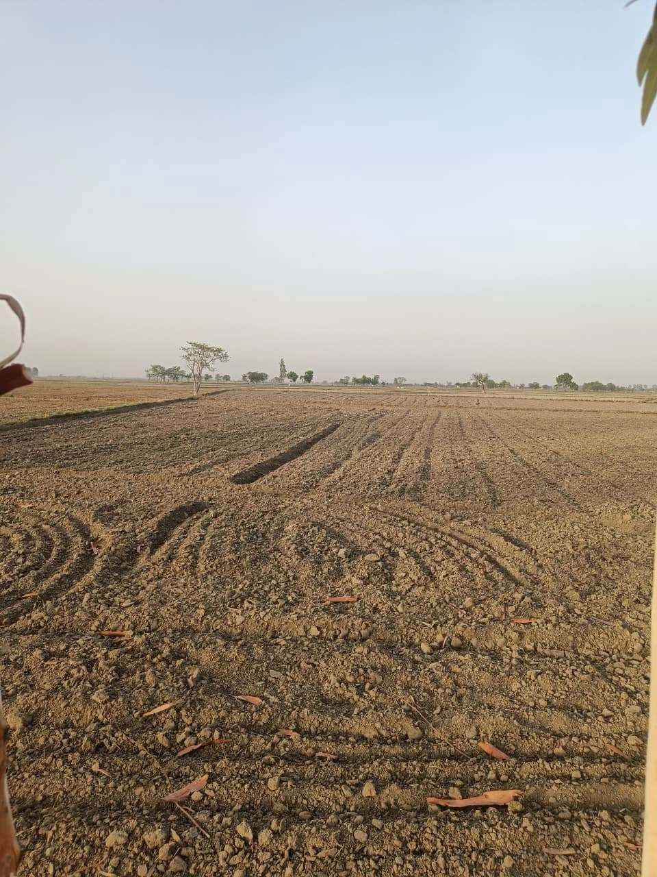 Tentigaon, Uttar Pradesh, India