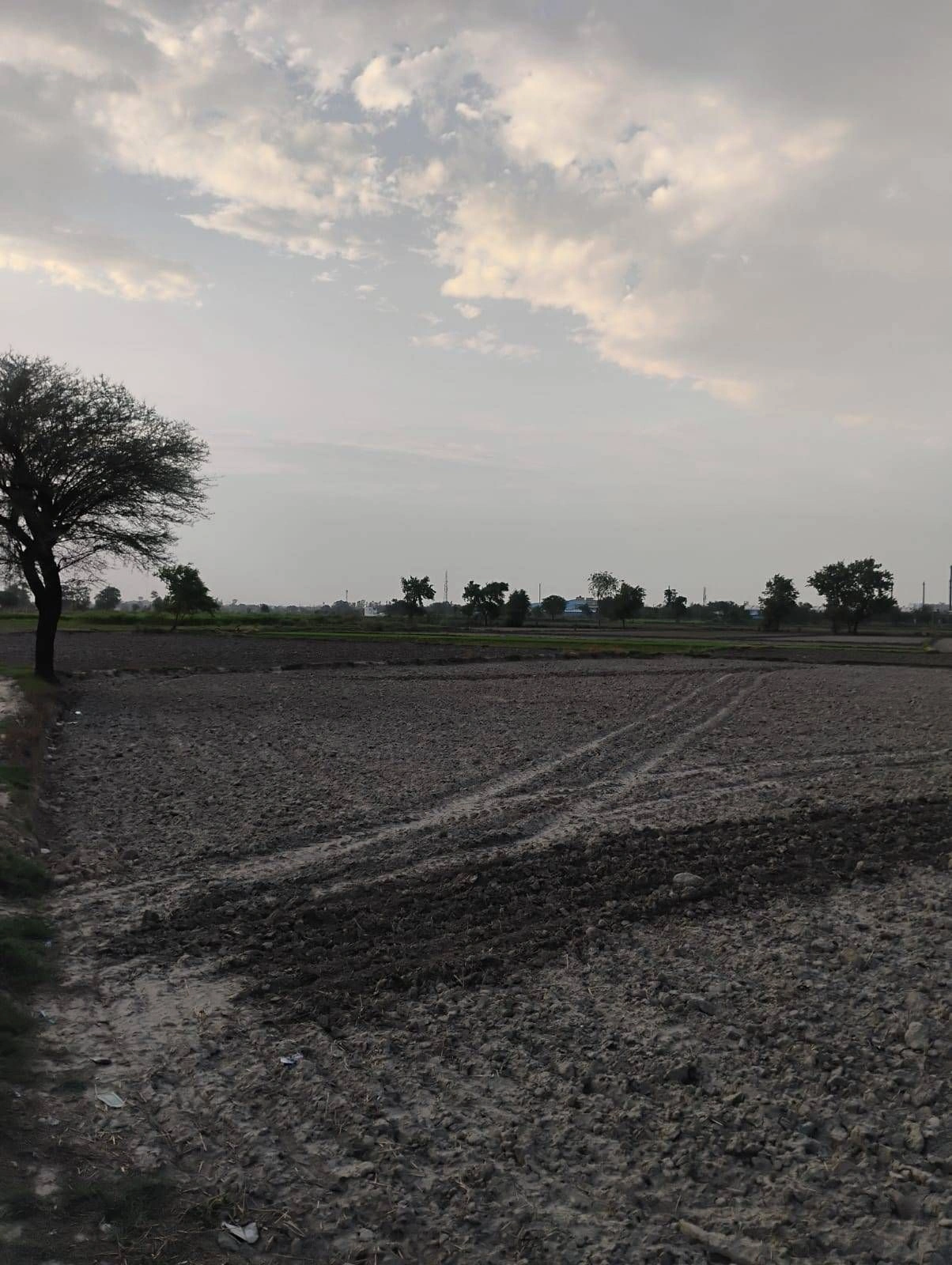 Bishambhara, Uttar Pradesh 281404, India