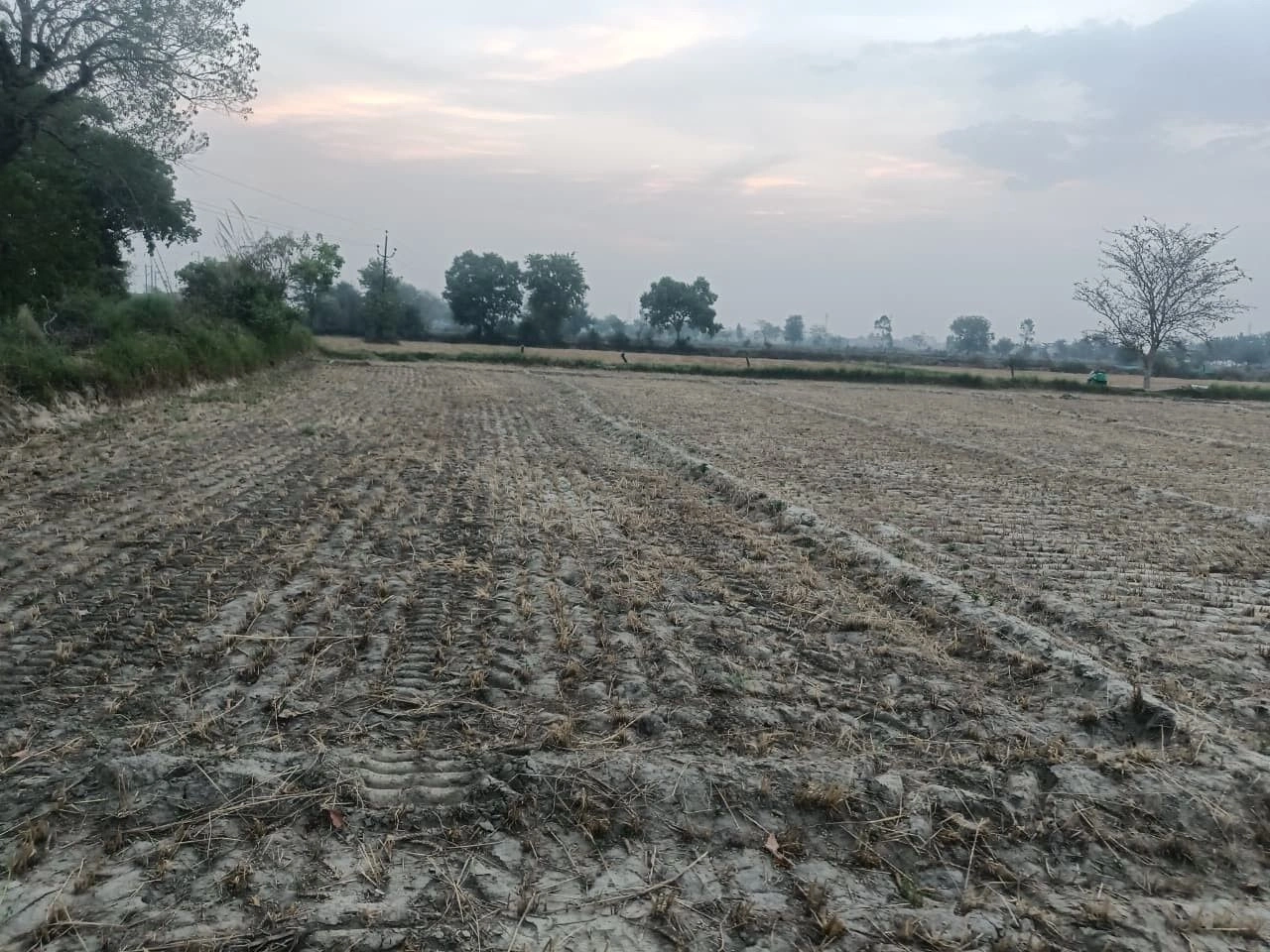 Khunteta Khurd, Rajasthan 301001, India