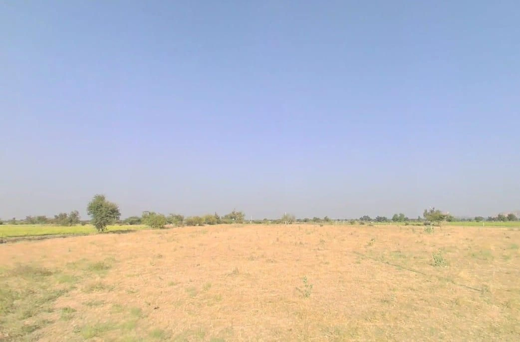 V5VM+4G7, Bandai, Rajasthan 306421, India