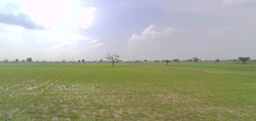 Bhanipura, Rajasthan 331411, India