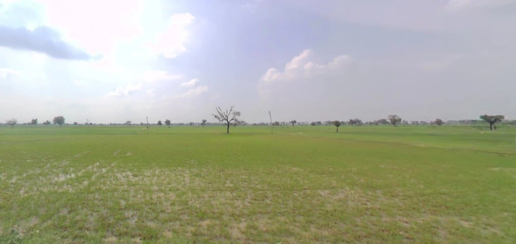 Bhanipura, Rajasthan 331411, India