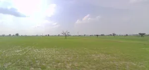 Bhanipura, Rajasthan 331411, India preview 3