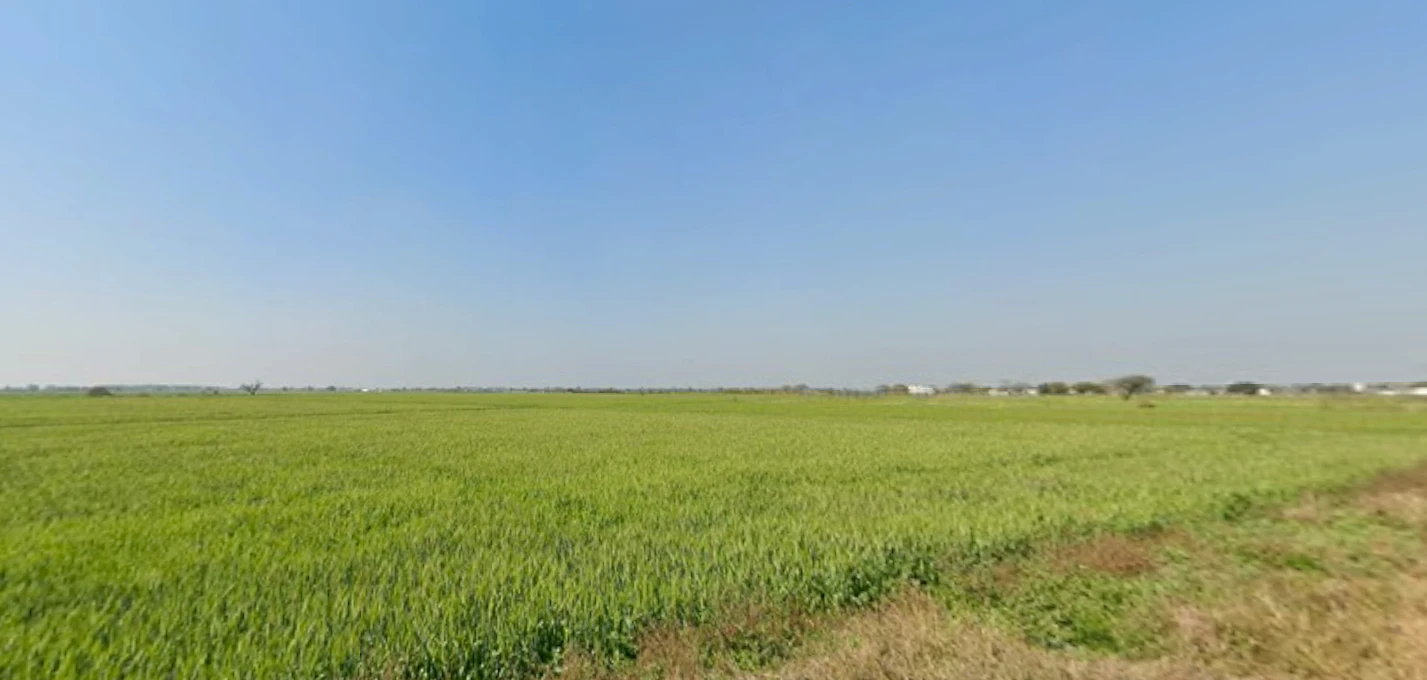 Rojda, Rajasthan 302012, India