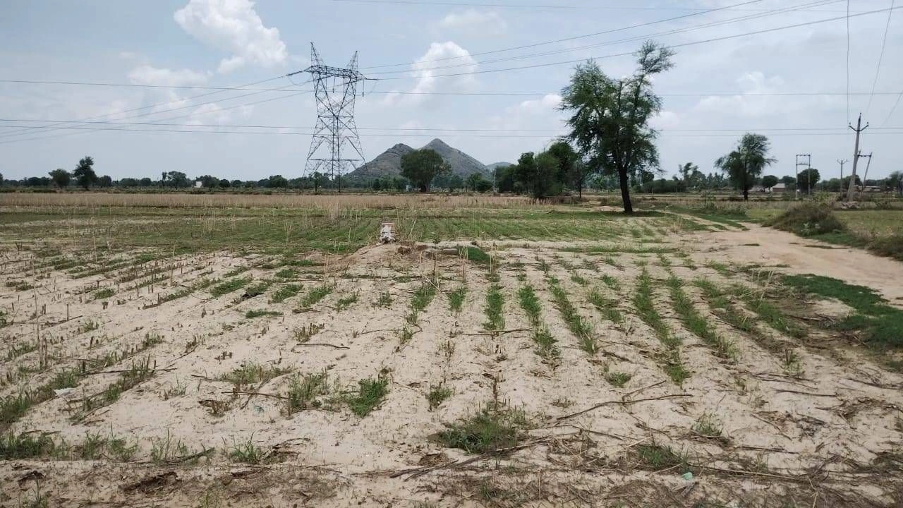 746G+FH, Kharoda, Haryana 122103, India
