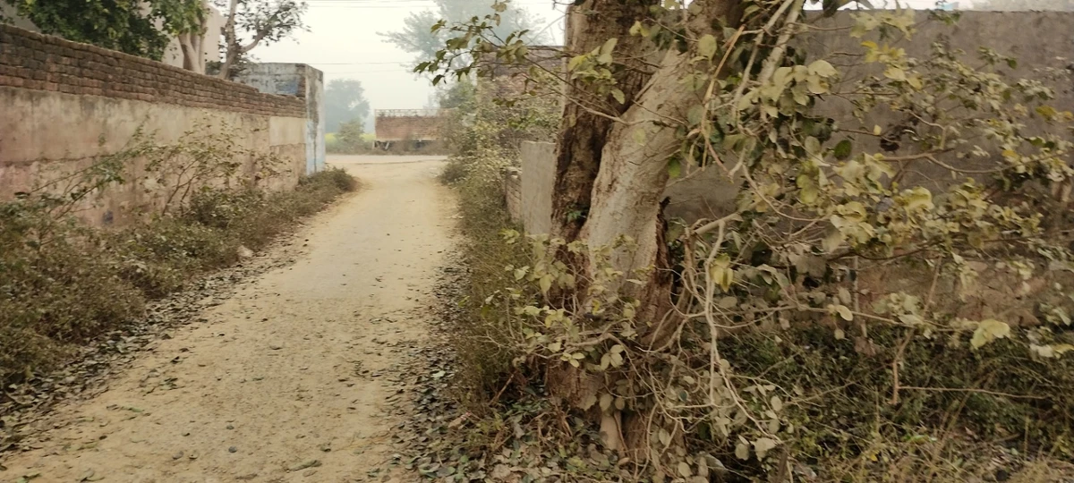 Jalooki, Rajasthan, India