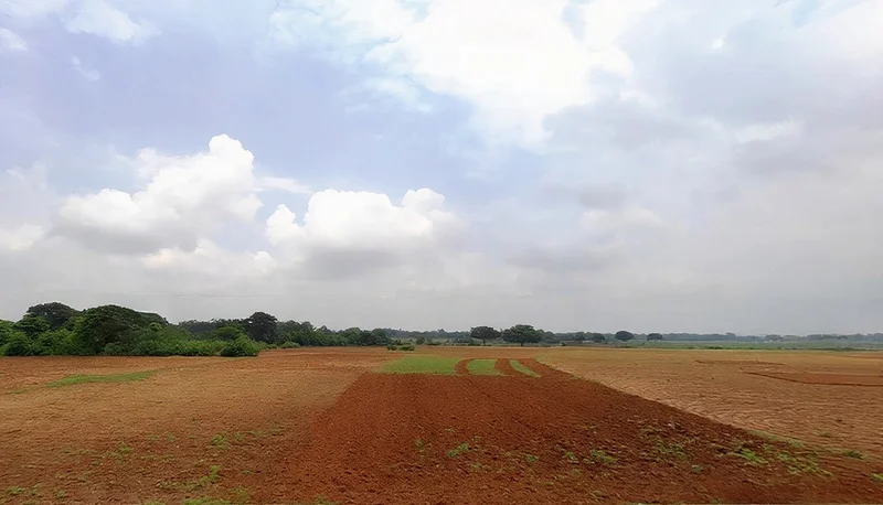 24V2+GR2, Gumla - Khunti - Ranchi Rd, Gumru, Jharkhand 835209, India preview 3