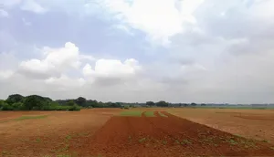 24V2+GR2, Gumla - Khunti - Ranchi Rd, Gumru, Jharkhand 835209, India preview 3