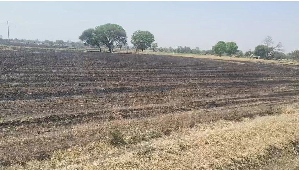 Jaora, Madhya Pradesh 457226, India preview 2