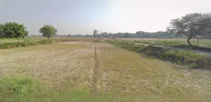 Bikaner, Rajasthan, India preview 3