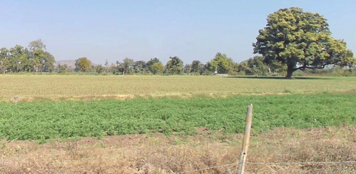 Barkhedasoma, Madhya Pradesh 455221, India