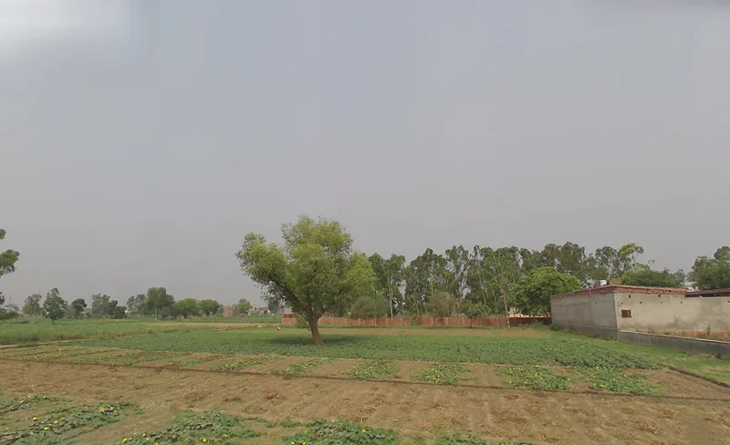 Kashipur, Uttarakhand 244713, India preview 2