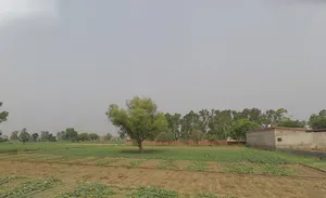 Kashipur, Uttarakhand 244713, India preview 2