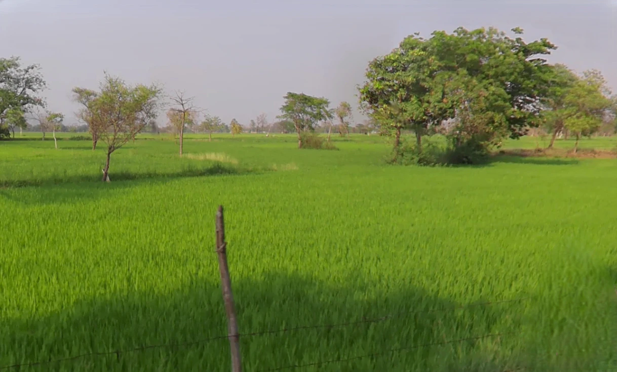 Kunra, Chhattisgarh 493221, India
