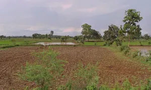 Ratanpur, Chhattisgarh 495442, India preview 2