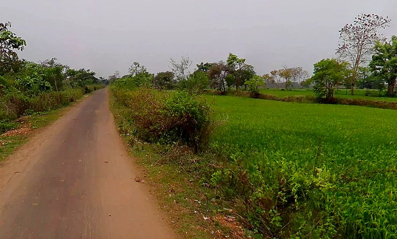 Girhola, Chhattisgarh 493661, India preview 2