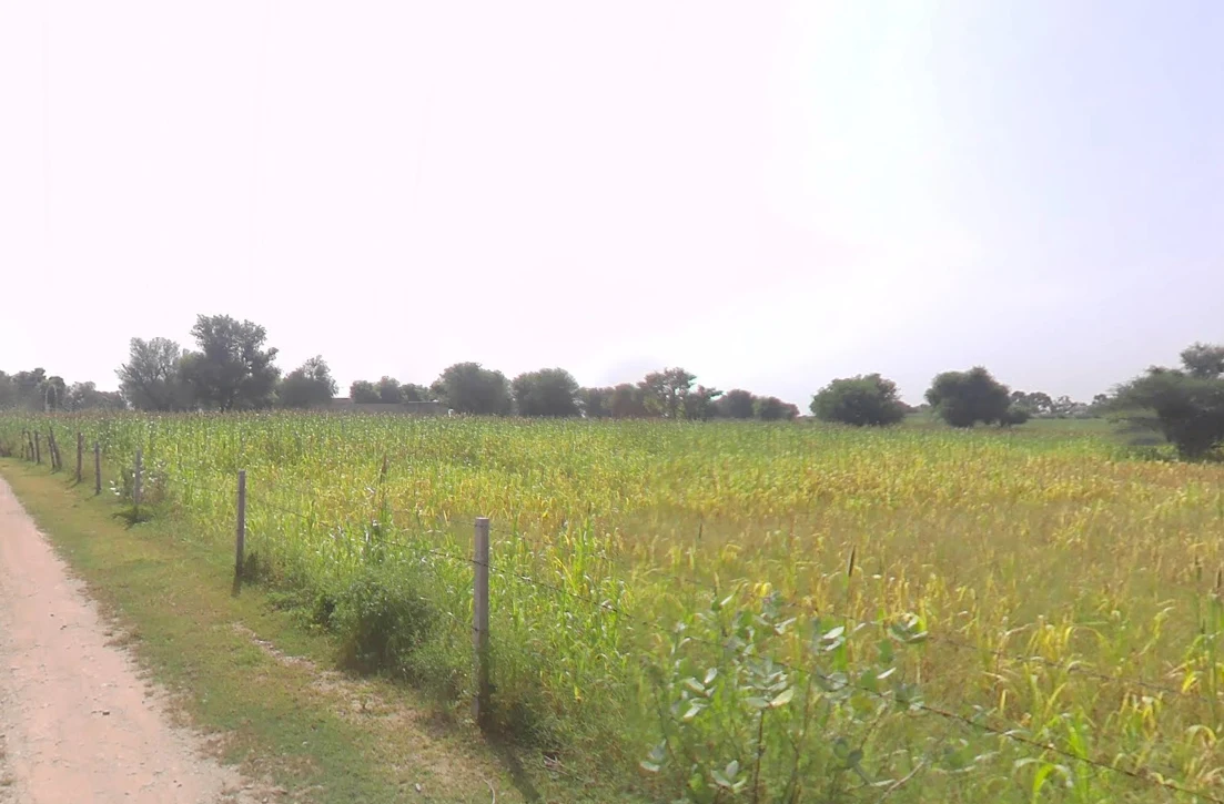 Mahlan, Rajasthan 303007, India