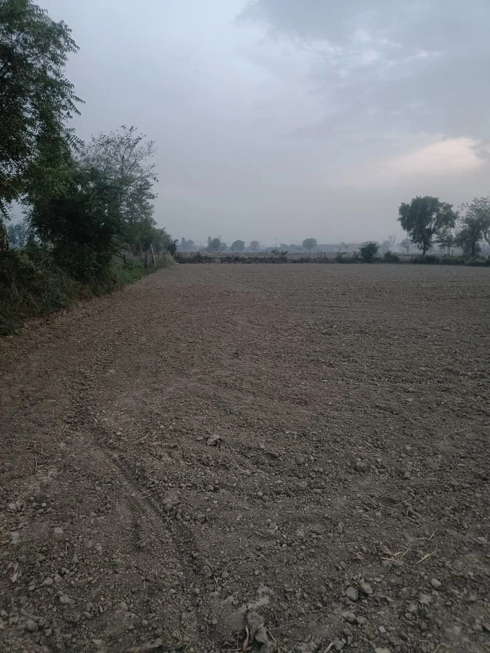 4927+RR9, Nalagola - Pakuahat - Malda Rd, Khiripara, West Bengal 732138, India
