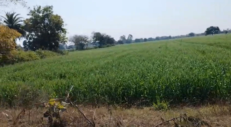 FX3H+49G, Dabdarajput, Madhya Pradesh 456668, India