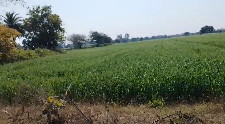 FX3H+49G, Dabdarajput, Madhya Pradesh 456668, India