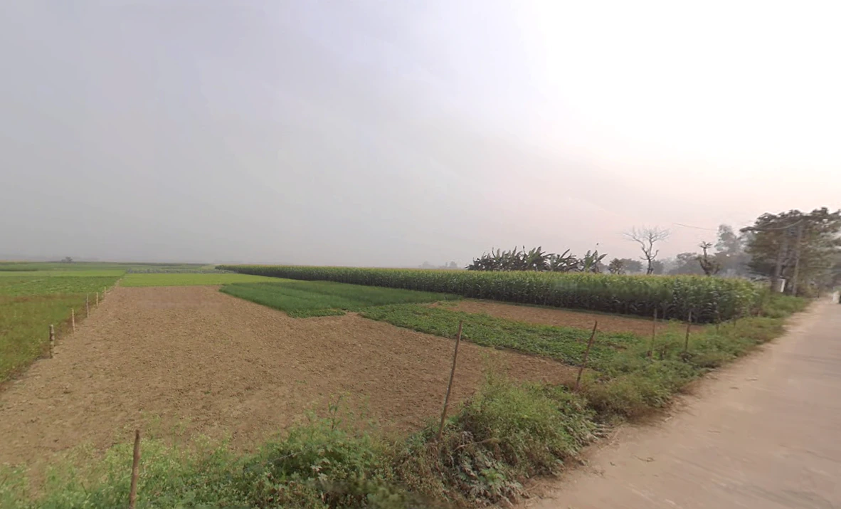 RCJ6+FJW, Gurdah, Shyamnagar, Kolkata, Bhatpara, West Bengal 743127, India