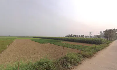 RCJ6+FJW, Gurdah, Shyamnagar, Kolkata, Bhatpara, West Bengal 743127, India preview 2