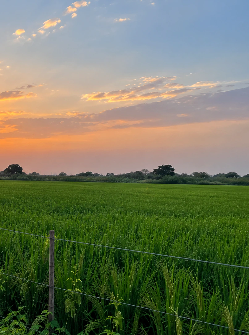 Jansath, Muzaffarnagar, Uttar Pradesh 251314, India