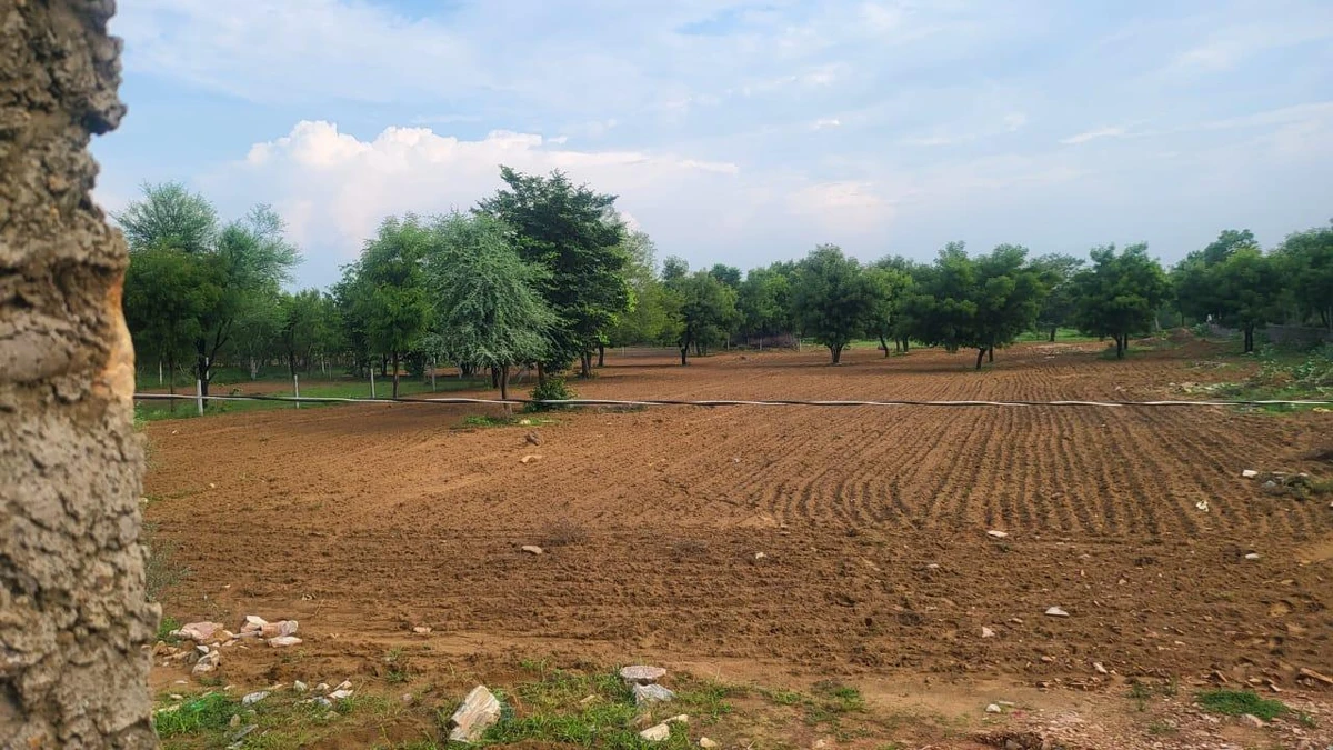 4XGH+X29, Ani, Rajasthan 303002, India