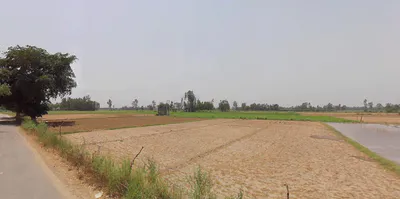 Moradabad, Uttar Pradesh, India preview 2